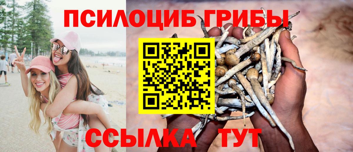продажа наркотиков  Галлюциногенные грибы Cubensis  Вход с VPN  Артём 